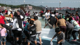 지역축제 - 제4회 마량미항축제 | 문화체육관광부