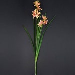 더리얼스 엠데코:대한민국 대표 플라워 종합쇼핑몰 [더리얼스 엠데코] 조화 난 가지 69cm 36개 세트 화초 난초 조화꽃 꽃장식 연출 식물 소재