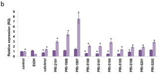 IJMS  | Free Full-Text | Antiproliferative Activity and in Vivo Toxicity of Double-Point Modified Analogs of 1,25... 