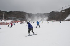 보드장소식 - 10일 토요일 무주 스케치