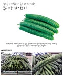 메가마트 가시오이(국내산)