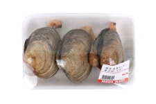 	개조개/대합(대/행사) | 꼬막 | 대합 | 가리비 | 전복 / 조개 / 소라 | 해산물 | 수산물 | 신선식품 | megamart | 메가마트몰 메가마트몰