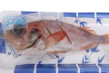 	전통섭간 손질적어(해동/포르투갈산) | 전어/열빙어/임연수/기타생선 | 대구/아구/기타생선 | Fish / dried fish | Fresh... 