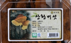	친환경 상황 버섯 | 상황 | 영지 | 기타 버섯 | 새송이 / 느타리 / 버섯류 | 채소 | 과일 / 채소 / 쌀 | 신선식품 | megamart | 메가마트몰 메가마트몰