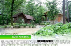 [지역칼럼-맛집여행] 몸이 좋아지는 산림욕, ‘대관령 자연 휴양림’ 맛집 칼럼