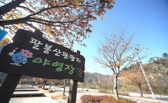 [지역칼럼-맛집여행] 팔봉산과 무궁화, 홍천 맛집 칼럼