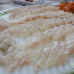 진미횟집 - 강원 속초시 중앙동 지역맛집