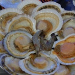 고래등조개마을 - 강원 강릉시 견소동 지역맛집