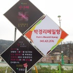 맛집 정보 검색 NO.1 사이트, 메뉴판닷컴 :: 맛집 정보가 가득