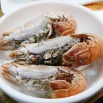 싱싱회센타 - 제주 제주시 일도일동 지역맛집