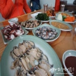 망고레이 제주성산섭지코지점 - 제주 서귀포시 성산읍 지역맛집