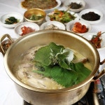 담쟁이넝쿨 - 충남 서천군 한산면 지역맛집