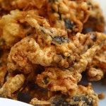 똘이네집 - 전북 군산시 신영동 지역맛집