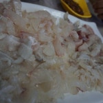 설악항 21호 재진이네 - 강원 속초시 대포동 지역맛집