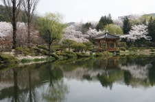 오픈 갤러리 - 경주보문