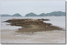 오픈 갤러리 - 한반도..^^