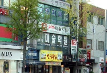 오픈 갤러리 - 이제 서서히 파릇파릇해지는 은행나무
