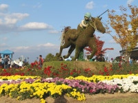 오픈 갤러리 - 경마공원 말의 비상