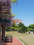 코베티 – 문경대학교 코베티