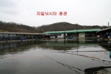 광장시장 동구 낚시동호회(광동낚) | 자일 낚시터 - Daum 카페 자일 낚시터
