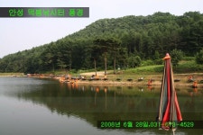 삼성타일 | 안성 덕봉 낚시터 - Daum 카페 안성 덕봉 낚시터