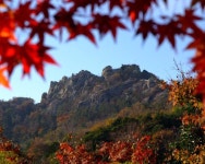 목포시유달산 가을 유달산 가을