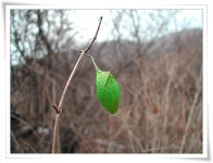 고치 하나.. ::: 82cook.com