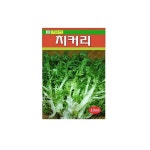치커리씨앗-문구랜드 치커리씨앗