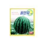 수박씨앗-문구랜드 수박씨앗