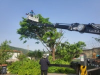 동두천시 보산동, 청사 주변 전정 작업 완료 - 내외일보 동두천시 보산동, 청사 주변 전정 작업 완료