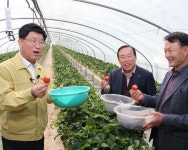 남평 딸기 재배농가 격려방문 - 소통공감시장실 남평 딸기 재배농가 격려방문