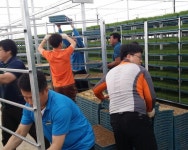 나주시 벼 공동육묘장 시설 지원 늘려 - 나주시청 나주시 벼 공동육묘장 시설 지원 늘려