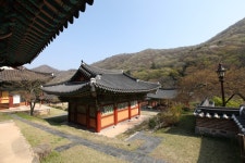 불회사를 다녀왔습니다 - 문화관광 불회사를 다녀왔습니다