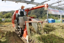 나주시 영농형 태양광 준공 추수행사 - 365일 열린시장실 나주시 영농형 태양광 준공 추수행사