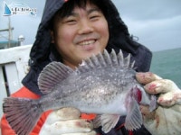 안흥 광어낚시 12/6 성남호조황 정보! 성남호 조황정보  [충남 - 태안군] - 낚시배닷컴
