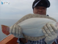 안흥 먼바다낚시 7월31일 은진호광어조황입니다. 은진호 조황정보  [충남 - 태안군] - 낚시배닷컴