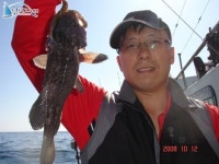 안흥 바다낚시 10/12 (1부)먼근해조황 입니다 안흥1호 조황정보  [충남 - 태안군] - 낚시배닷컴