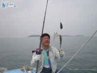 당진 선상낚시 장고항바다낚시 4월19일 조황입니다. 한바다1호 조황정보  [충남 - 당진군] - 낚시배닷컴