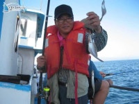 강릉 지깅낚시 2009년8월23일피싱캠프호조황 피싱캠프호 조황정보  [강원도 - 강릉시] - 낚시배닷컴