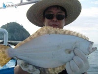 안흥 우럭낚시 8월 22일 토요일 대성호 조황입니다. 대성호 조황정보  [충남 - 태안군] - 낚시배닷컴