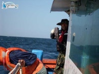 태안반도 배낚시 학암포배낚시 2009.3.31일 조황정보 4부입니다 분점호 조황정보  [충남 - 태안군] - 낚시배닷컴
