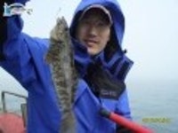  바다낚시 영흥도선상낚시 4월 20일 아라호 조황정보  조황정보  [ - ] - 낚시배닷컴
