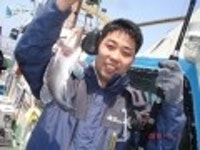 안흥 바다낚시 5/1  조황 입니다 안흥1호 조황정보  [충남 - 태안군] - 낚시배닷컴