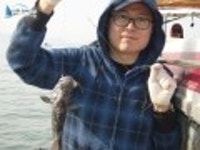 모항 우럭낚시 태안배낚시 5월17일신생스타호조항입니다 신생스타호 조황정보  [충남 - 태안군] - 낚시배닷컴