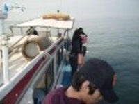 모항 우럭낚시 태안배낚시 5월17일신생스타호조항입니다 신생스타호 조황정보  [충남 - 태안군] - 낚시배닷컴