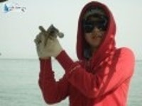 모항 우럭낚시 태안배낚시 5월17일신생스타호조항입니다 신생스타호 조황정보  [충남 - 태안군] - 낚시배닷컴