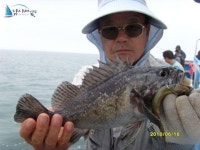 안흥 먼바다낚시 서해낚시배 6월16일은진호조황입니다^^ 은진호 조황정보  [충남 - 태안군] - 낚시배닷컴