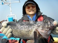 안흥 낚시배 안흥항바다낚시 안흥바다낚시6월23일길성11호일부대박조황1부입니다 뉴길성호 조황정보  [충남 - 태안군] - 낚시배닷컴