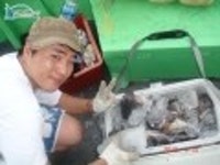 안흥 바다낚시 9/14 조황 입니다 안흥1호 조황정보  [충남 - 태안군] - 낚시배닷컴