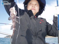 인천연안부두 바다낚시 인천만석부두우럭낚시 마린스타10월15일조황입니다. 마린스타 조황정보  [인천  - 동구] - 낚시배닷컴